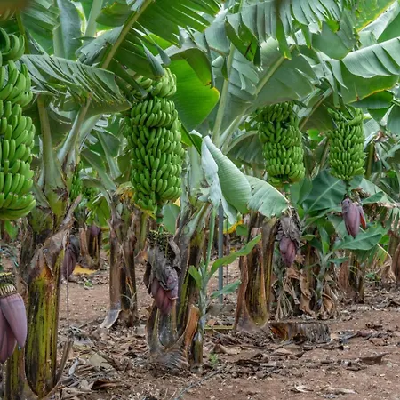 Rk Ola Canteras Апартаменты